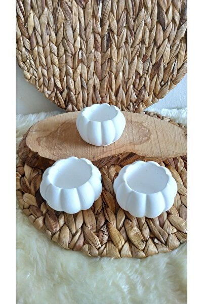 evdeki atölyem 3lü Bal Kabağı Saksi