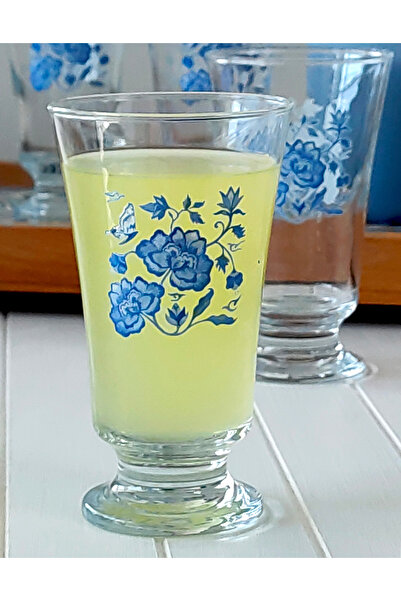 REGNA HOME Fine Living Regna Home Kahve Yanı Limonata Bardak seti - Mavi