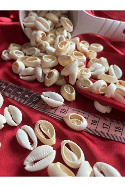 Aslan Online 10 броя морски черупки 2 см - изработка на бижута