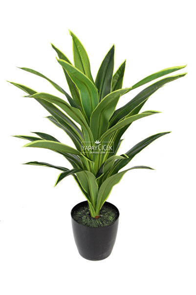 Yapay Çiçek Deposu Yapay Ağaç Saksıda Dracaena 100 cm Yeşil-Sarı