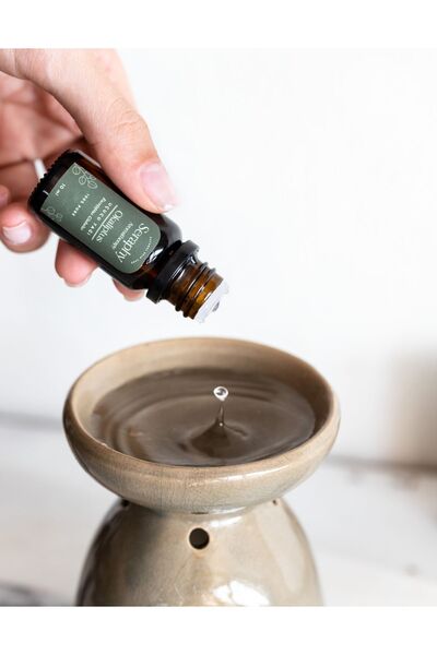 Seraphy Aromatherapy Eucalyptus Essential Oil 100% Natural 10 ml