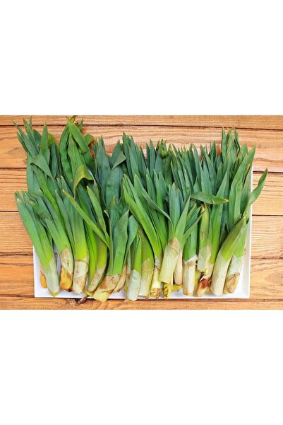 Erzurum İpekgurme Erzurum Ipek Gurme Kurutulmuş Çiriş-gullik Otu 100 Gram Ipkg 4671