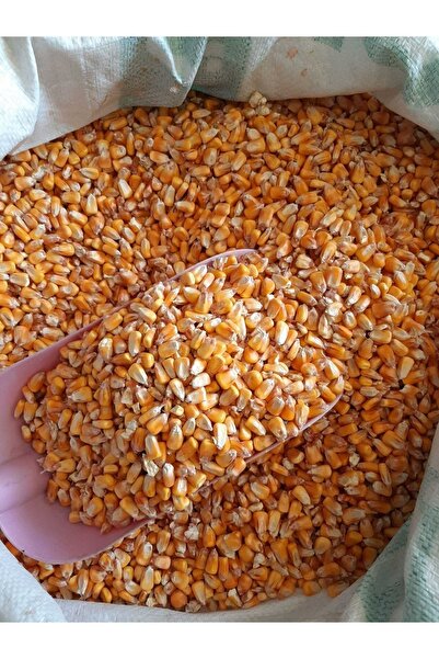 M&H Tüm Mısır Tavuk Kaz Ördek Kuş Kanatlı Yemi (5 KG)