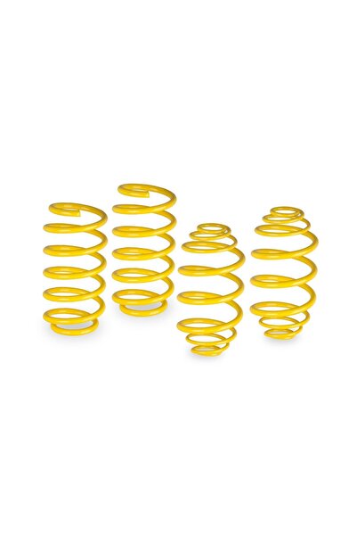 APEXİ Volkswagen Jetta Mk5 Uyumlu 5 Cm Spor Helezon Yay 2003-2010