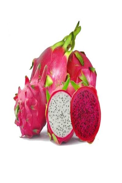 PİŞKİNN Ejder Meyvesi-3 Adet