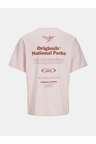 Jack & Jones Urban Edge Graphic Crew Neck T-Shirt