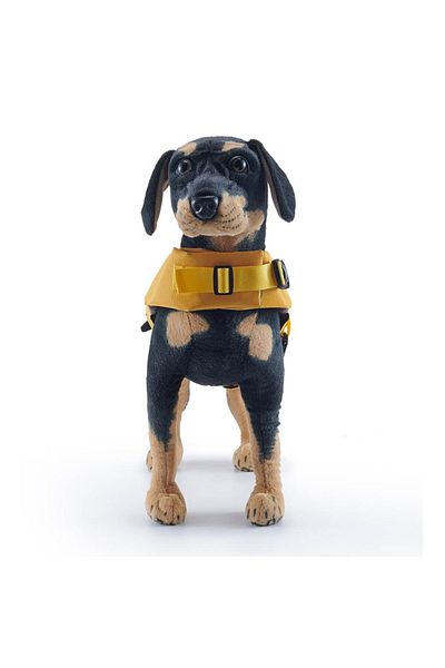Bunico Yellow Dog Life Jacket