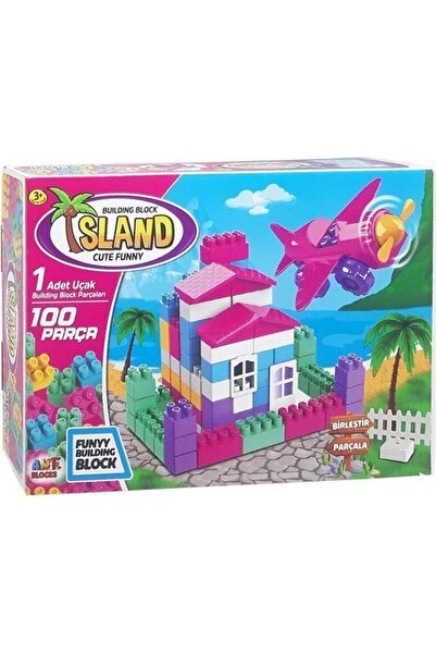 Sole Uçak ve Ev Seti 100 Parça Yapı Blok Set