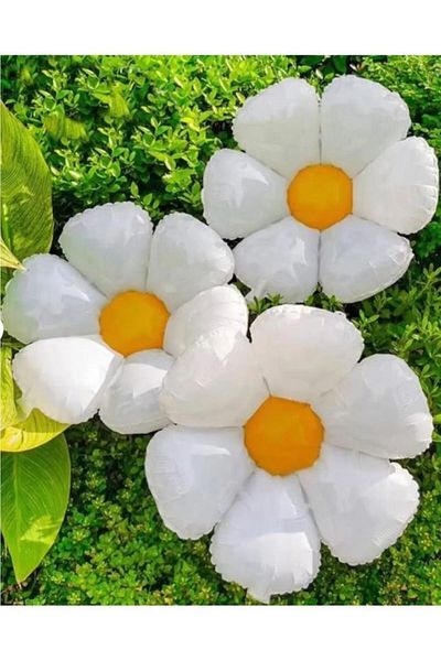Konsept Sepeti 3 Pieces Daisy Balloon Party Concept Set