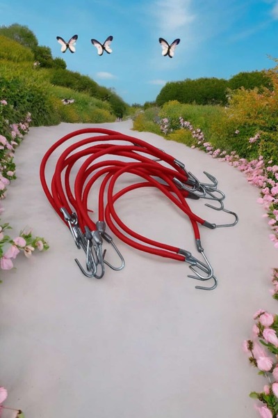 ÇEÇEN HOME Set od 10 komada za konjski rep sa željeznim kukama