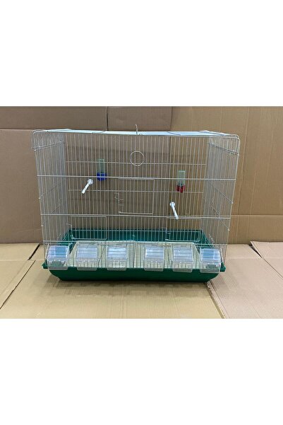 Polly SALMA BÜYÜK KAFES