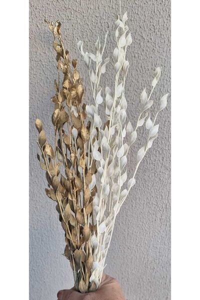 kutmen Beyaz Ve Gold Rengi Sedef Çiçeği 20 Dal(KURU ÇİÇEK)