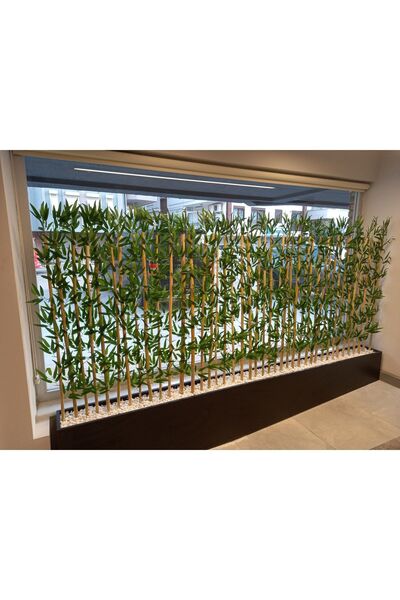 ERHAN FLOWERS 120 cm.saksida 120.cm.24 adet bambu speratör