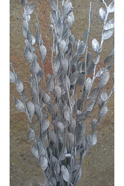 kutmen 15 DAL GÜMÜŞ YALDIZ SEDEF ÇİÇEĞİ