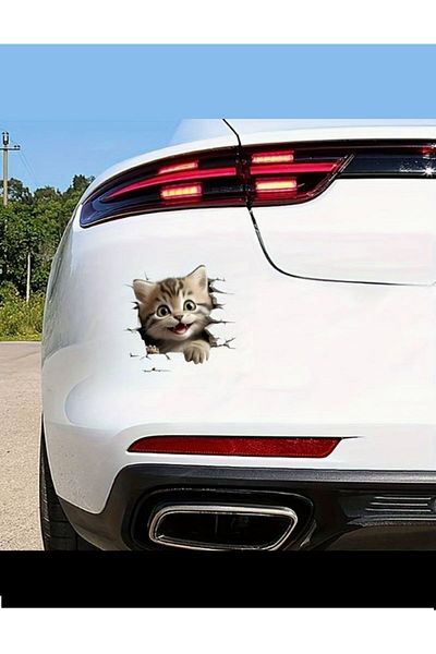 Quun Duar Door Refrigerator - Adhesive Cute Naughty Cats Sticker and Vehicle Glass Sticker