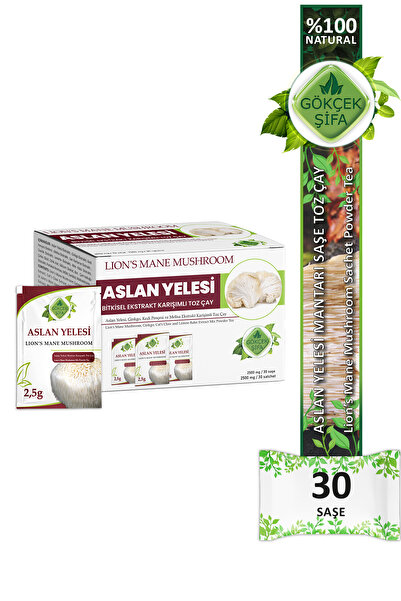 Gökçek Şifa Aslan Yelesi Saşe (LİON'S MANE MUSHROOM SACHET POWDER TEA)