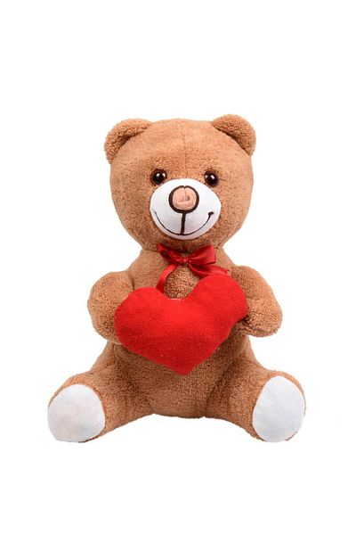 Sole Cute Plush Teddy Bear Holding Heart for Your Loved Ones - 30 cm