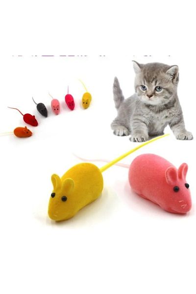 Gerçek Efsane Most Practical Cat Dog Health and Cleaning Products Petshop Bulk Products Stand