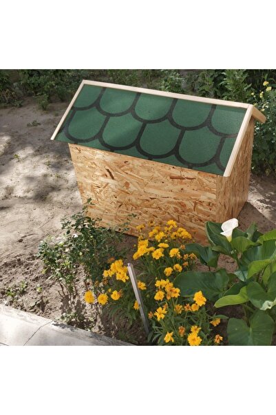 Tuna Tasarım Yeşil Ahşap Büyük Boy Köpek Kulübesi