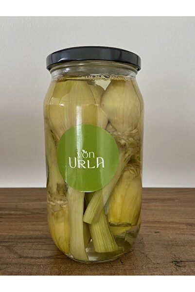 Von Urla Saplı Enginar Kalbi 660 Cc (MEZE, IZGARA, SALATA IÇİN YEMEĞE HAZIR)