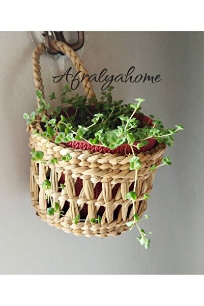 afralya home Dekoratif Çok Amaçlı / Hasır Saksı Sepet / Askı Sepet / Duvar Sepeti Saksılık Bahçe Düzenleyici
