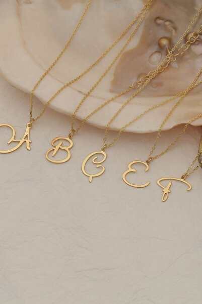 Nox Jewelry 925 Ayar Gümüş Minimal Kalp Detaylı Harf Kolye Gümüş