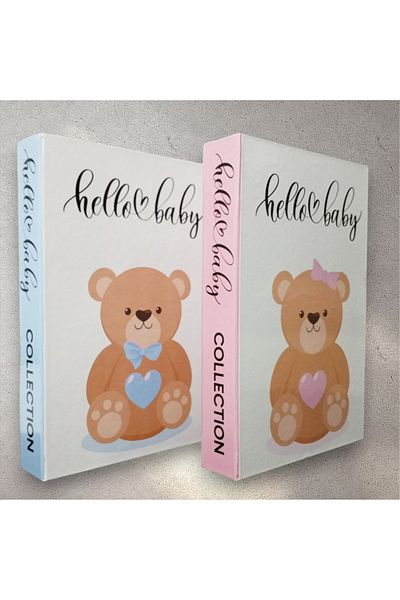 BayCazip 2-Piece Decorative Book Look Box Set