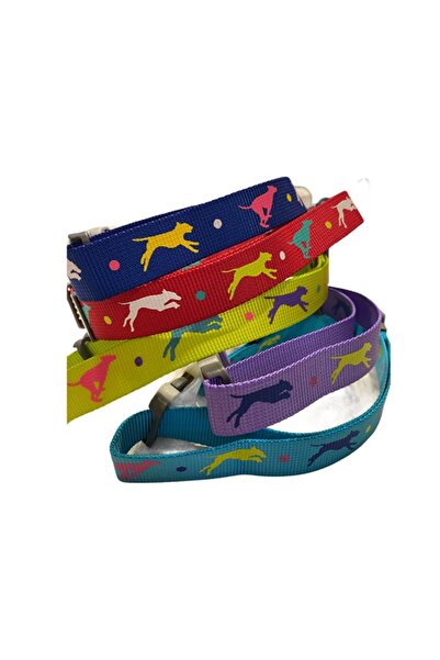 Nunbell Leaping Dog Premium Boyun Tasması 2,5 Cm X Boyun Çevresi: 40-65 Cm