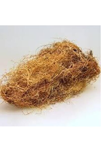 aktarpazarı Mısır Püskülü 100g