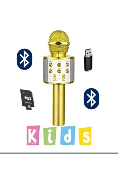 Genel Markalar Bls-25 Usb / Tf Kart / Aux Karaoke Mikrofon BT