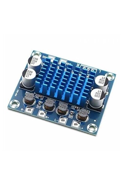 SANEC TPA3110 2x30W Streo Çift Kanal Amfi Devresi XH-A232