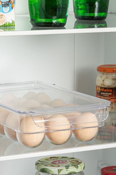 Calke 15-Piece Egg Storage Container with Lid