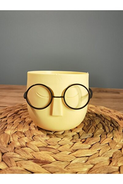 HEYBENİDOLDUR Eva Profesör Masa Üstü Saksı/kalem Kutusu