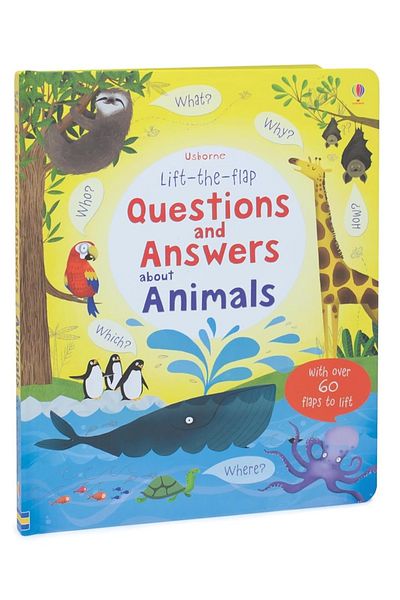 Penguin Books Katie Daynes - Lift-the-flap Question and Pocket Shoes