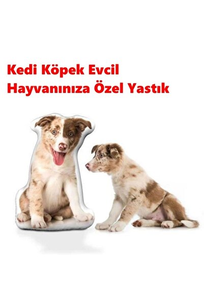 Hediye Deposu Kişiye Özel Kedi Köpek Evcil Hayvanınıza Özel Yastık