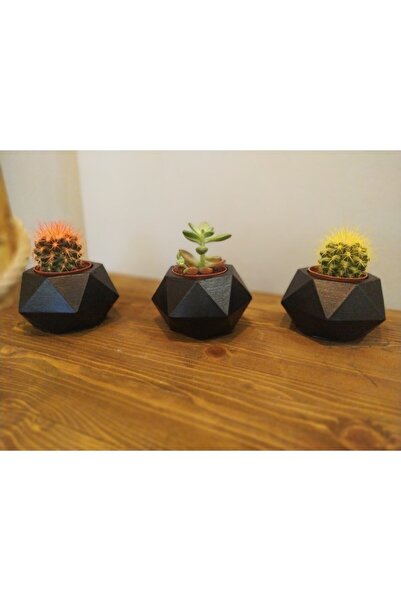 Genel Markalar Siyah 3lü Dekoratif Geometrik Sukulent Kaktüs Saksı Seti Hediy...
