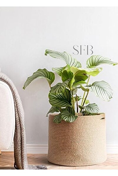 HomeTurko 30x30cm Σκανδιναβικού στυλ Οργανωτής αποθήκευσης από γιούτα και γλά...