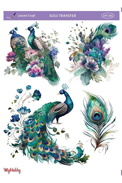 LİNEART Sulu Transfer LNT283  25x35cm