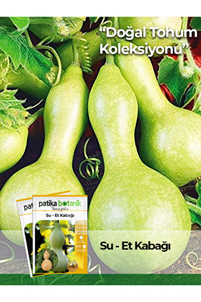 Patika Botanik 5 Adet Su - Et Kabağı (LAGENARİA SİCERARİA) Tohumu