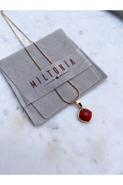 Miltonia Red Agate Pendant Steel Chain Necklace