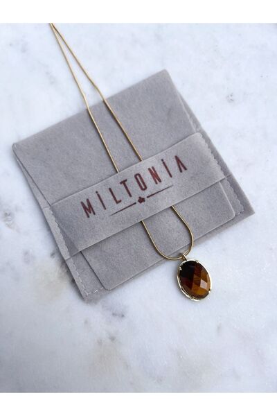 Miltonia Steel Chain Necklace with Tiger Eye Pendant
