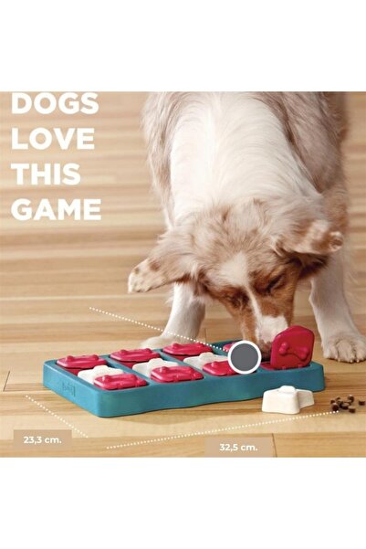 Outward Hound Dog Brick İnteractive Puzzle Köpek Zeka Oyuncağı ve Mama Kabı