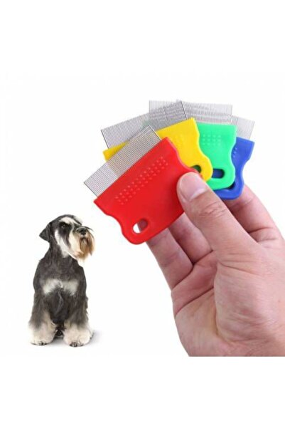 CMT Cat Dog Flea and Flea Comb