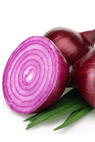 AGRODAL TARIM Ata Tohumu Yerli Doğal Çorum Mor Soğan Tohumu 100 Ad. Sebze Tohumu