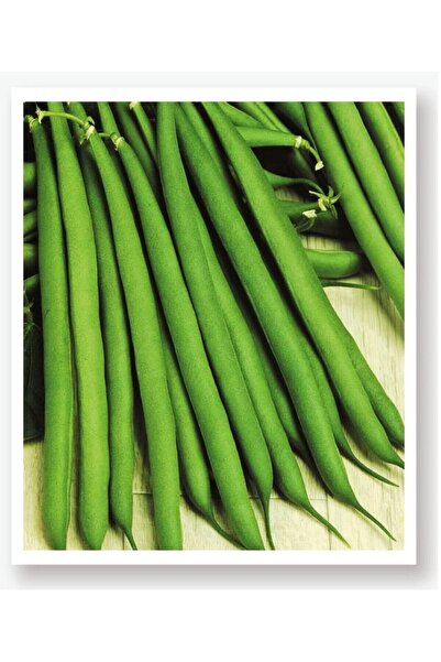 AGRODAL TARIM Ata Tohumu Yerli Oturak Taze Yeşil Fasulye 50 Adet Doğal Tohum
