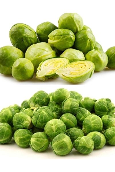 ALPAGRO MONDE Hobi Paket Doğal Minik Brüksel Lahanası 50 Adet Sebze Tohumu