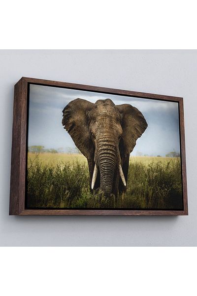 Harita Sepeti Tablou decorativ pe pânză elefant înrămat-1121