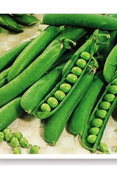 AGRODAL TARIM Ata Tohumu Yerli Bezelye 50 Adet Doğal Tohum