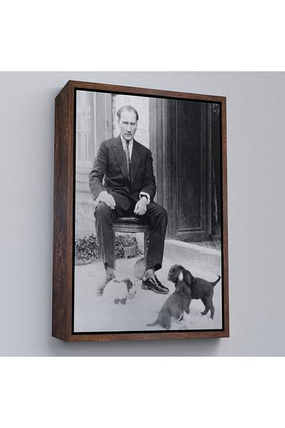 Harita Sepeti Pictură portret Ataturk înrămată Mustafa Kemal Atatürk Pictură decorativă pe pânză dreptunghiulară-55