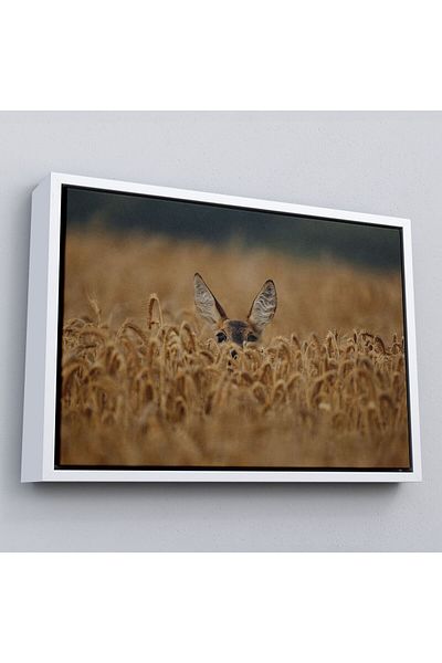 Harita Sepeti Tablou decorativ pe pânză Gazelle în cadru-1145